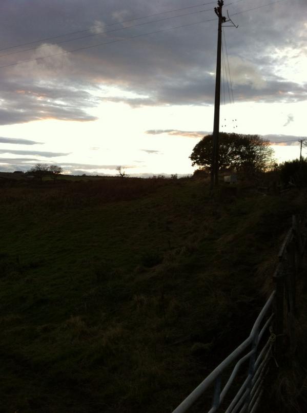 dunnock67's tweet image. The sound of redwings coming to roost is what it's all about #patchworking