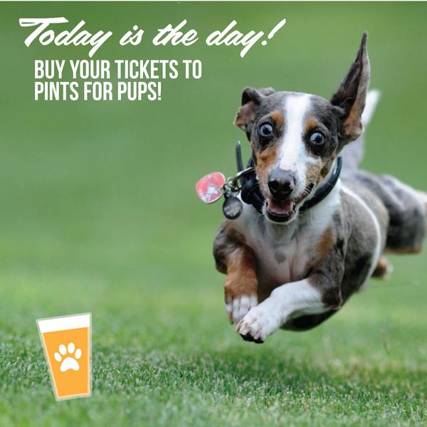 Party with us and puppies TONIGHT! Buy your Pints for Pups tickets here: bit.ly/1wmPhiJ
