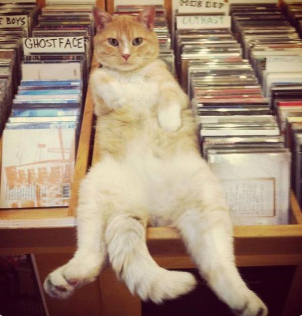Here's another testimony: real records are cooler than mp3! lovemeow.com/2014/10/mickey… #cats #yloh