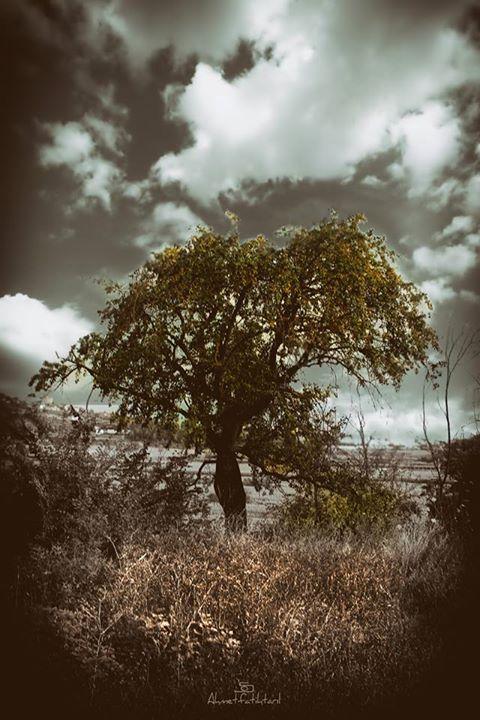 aftfotograf's tweet photo. Düşsel faaliyet alanı http://t.co/GW2KDwC8DL