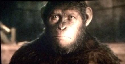 Caesarloove's tweet image. #HailCaesar