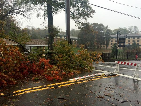 7News's tweet photo. The scene in Beverly today: MT @cgforthree: @7News more flooding at Endicott College.http://t.co/ltxUS5EnKJ