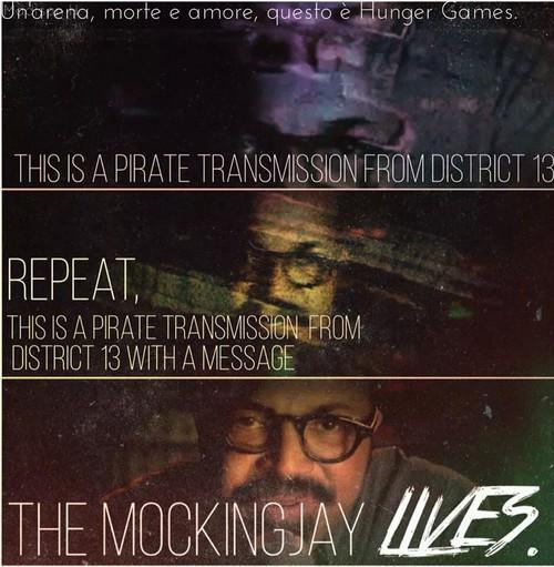 5Potterheads's tweet photo. "The Mockingjay lives" http://t.co/3h4cdv4JPr