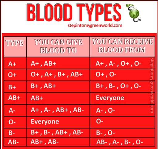 anithajj77's tweet photo. Blood Types to our Bodys http://t.co/AYThWe6e8W