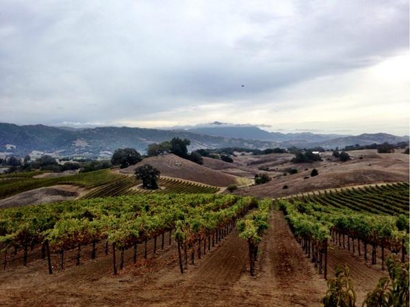 Here comes the rain. #fall #weather #sonoma #wine #vineyards #mountains