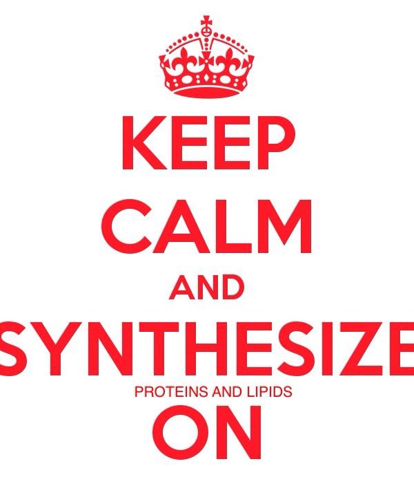 ENDORETICULUM2's tweet photo. #somuchwork #itallstartshere http://t.co/pSYDPuHd8w