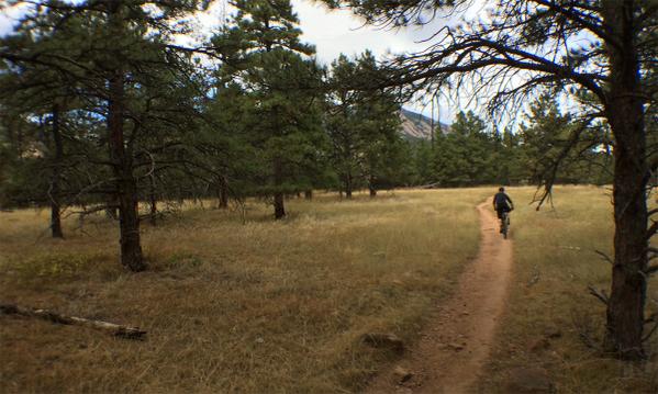 Liteville USA tweet media