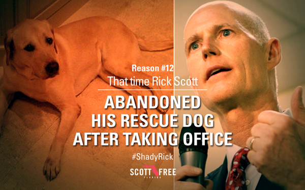 ScottFreeFLA tweet picture