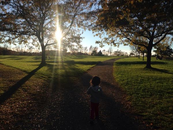 BloomsdayDevice's tweet photo. #stinchcomb @clevemetroparks
#MyFavoriteEclipse http://t.co/JyigYZoTiM