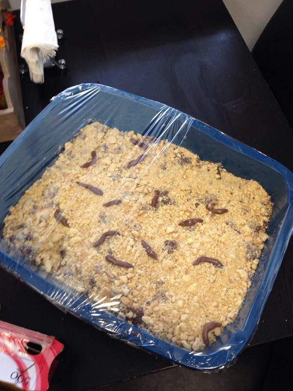HarborSpeech's tweet photo. Kitty Cake is ready for the party #tbi #ghbing #gigharbortbi http://t.co/ocurcb5HV0