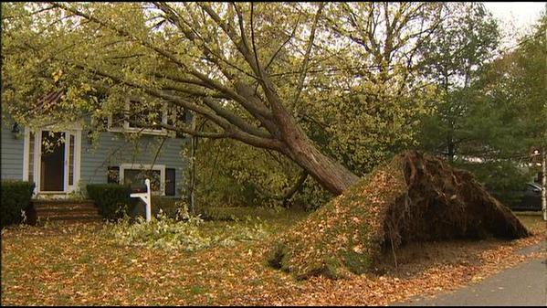 View image on Twitter View image on Twitter