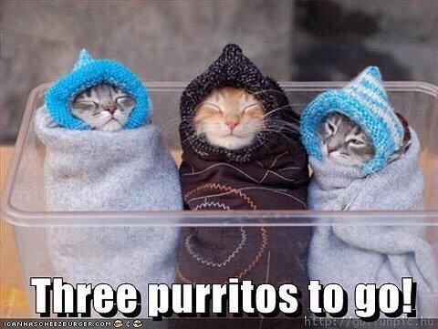 <a href="/S_Palmer_tweets/">Spartan Palmer</a> This as well!