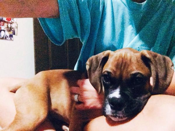 cacagle_'s tweet photo. Vin was 2 months old 😩😍🐶 http://t.co/0LQcMOnxKB