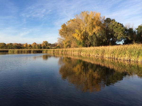 christidesign's tweet photo. I love the colors of fall! #autumn http://t.co/wVmxOOCqFF