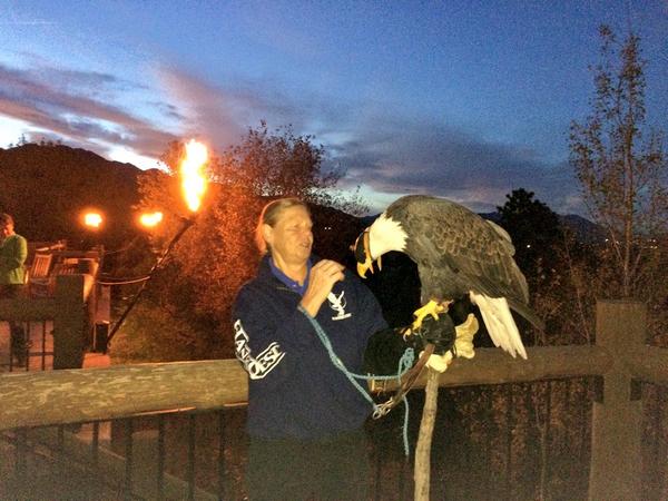 QolsysInc's tweet photo. Fantastic birds of prey demonstration at dinner tonight! #ESTS2014 @ESTS2014 http://t.co/XqiozEehEP