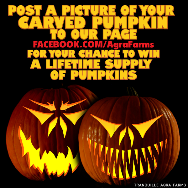 AgraFarms's tweet photo. Life Time supply of #kamloops #pumpkins - so awesome, it only requires two hash tags. Join us http://t.co/KolvdZWMzb http://t.co/SQSRaogxIl