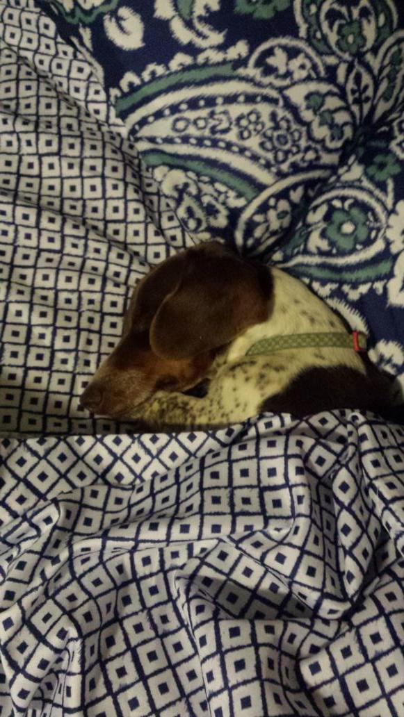 brandishea22's tweet photo. Livin the spoiled life ♡♡♡ http://t.co/rNugWt2zlS