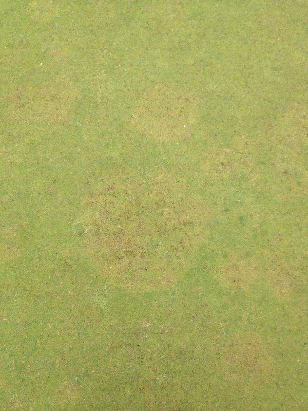 GarethTurf's tweet image. 1st time dealing with #TakeAllPatch Lucky enough to conduct some trials. @TurfProApp was handy for registered options