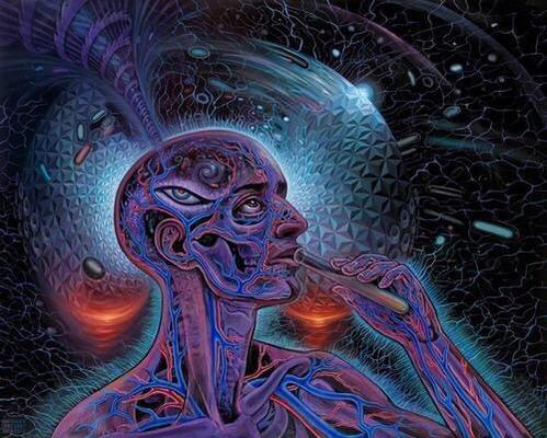 melarreo's tweet photo. @GuruSamsara @enter_yourself #PinealPic http://t.co/OaRriUpkeI
