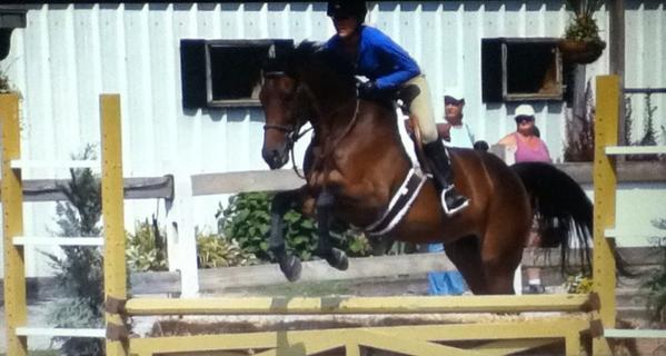 DatHunterLife's tweet image. For Sale. Dm me if interested!