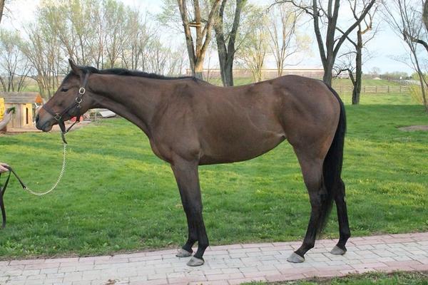 DatHunterLife's tweet image. For Sale. Dm me if interested!