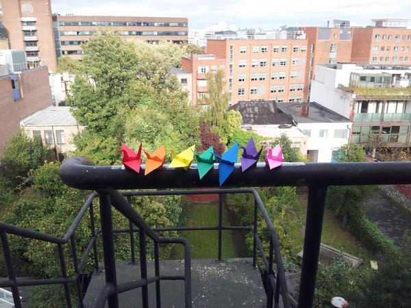 irc_youth_'s tweet photo. Cranes taking flight for tomorrow's 1,000 Paper Crane initiative! #imoSadako14; #nomorenukes; #banthebomb #BanNukes http://t.co/xl7P4W2rH6