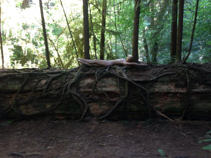 7 pix in 7 states in 7 days: Redwood Forests, CA #californiadreamin #latenightinboston #fuckhashtags<a href="/tag/californiadreamin"class="tags"><span>#californiadreamin</span></a><a href="/tag/latenightinboston"class="tags"><span>#latenightinboston</span></a><a href="/tag/fuckhashtags"class="tags"><span>#fuckhashtags</span></a>