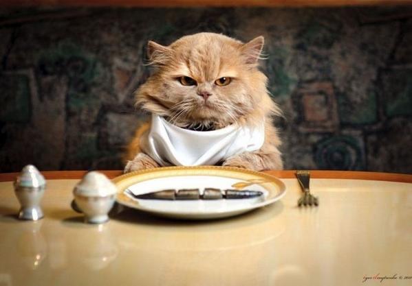 cafeabama tweet picture