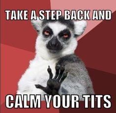 notbadyourself's tweet photo. #ItsFriday #CalmYourTits #NotBadYourself http://t.co/bEQM6rA9lj