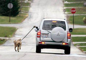 La sédentarité est la première cause non transmissible de décès dans le monde ! fr.scribd.com/doc/243938433/…