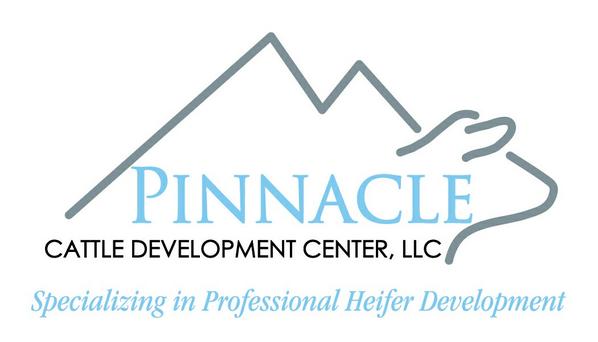 PinnaclecatteDC's tweet photo. #heiferdevelopment http://t.co/AU3s2WlzZs