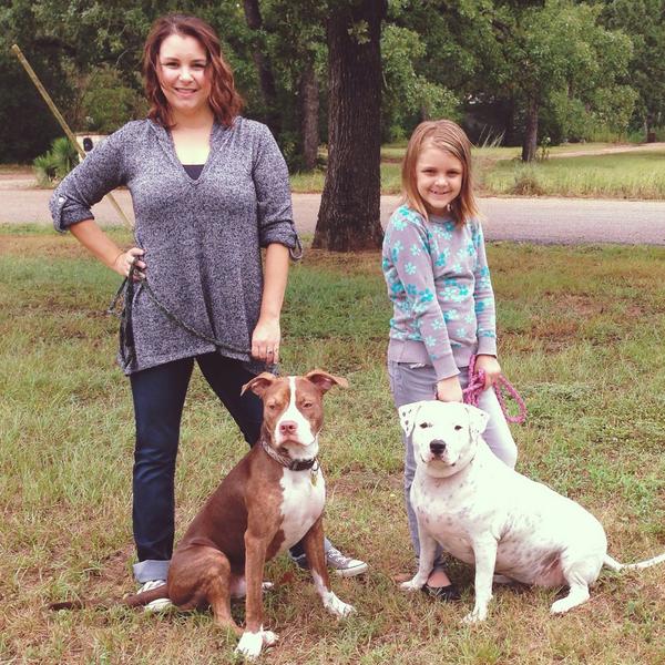 DiggsAlyssa's tweet image. Do I LOOK like a violent owner? the misinformed ramblings of a non-bully owner... #mollywouldbanmetoo #coloradogs