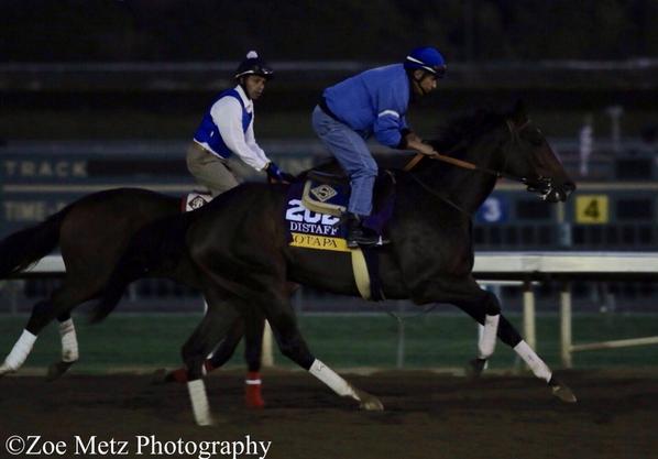 1st_racing's tweet image. Iotapa galloping @santaanitapark @BreedersCup #BC14 #BCDistaff