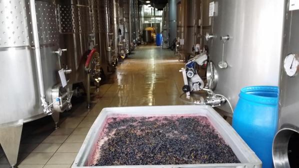 Visiting EtCetera winery in Moldova: clear example of passion and professionalism. <a href="/VisitMoldova/">Visit Moldova</a> <a href="/moldovaorg/">Moldova.org</a>