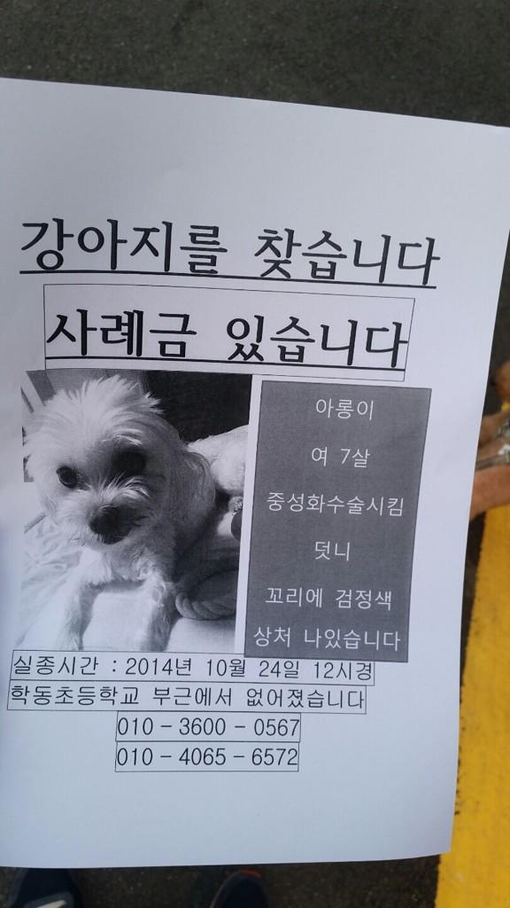 강아지 찾는 전단지에요. 학동역부근 사시는 분들 관심있게 봐주세요