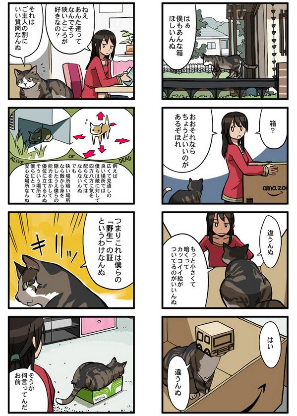 「猫と箱の関係」 明日からのpixiv祭で展示されるらしいので行く方は見つけてみてね 