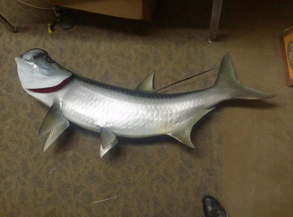 CratersOmaha's tweet image. A fish out of water for your #tbt. #netless #wild dlvr.it/7JSRLW