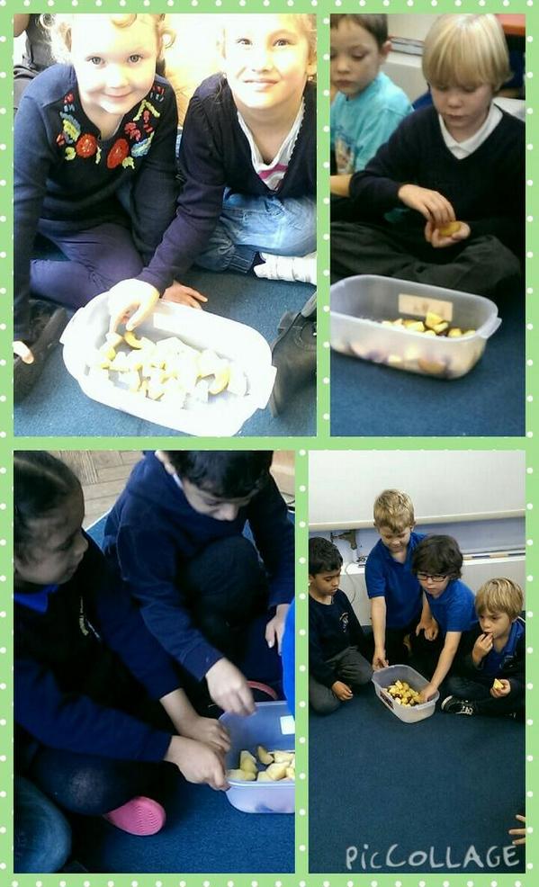 brynmillmrsh's tweet photo. Y1.2H loved Fruity Friday today. Thank to @brynmillpta for giving us a healthy snack! 😁 http://t.co/pde94fRMyr