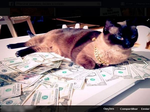 g1's tweet image. Suspeito que ostentava dinheiro na internet é solto por conta da lei eleitoral no RS glo.bo/1w04G9z #G1