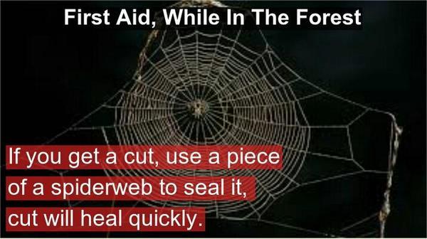 Survival Hacks tweet media