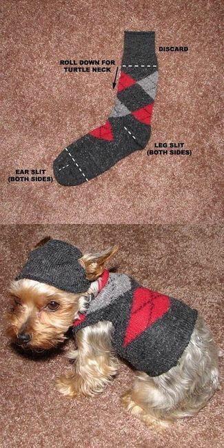 Survival Hacks tweet media