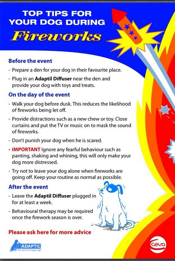 Britk9training's tweet photo. http://t.co/SGxp9daSVS