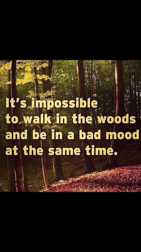 RacksofAmerica's tweet image. 