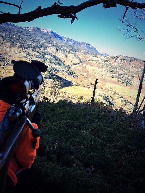 BackwoodsElite's tweet photo. Beautiful morning watching over 2 heards of elk. #Colorado #ElkHeaven http://t.co/NG5TaWcCyE