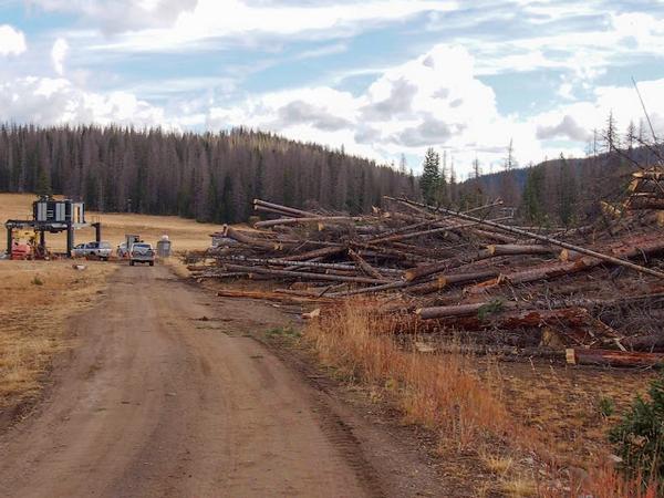 WolfCreekSki2's tweet photo. Da Claw... or should we say hook. The KMAX gets after it! #HeliLogging #WolfCreekSkiArea #75thSeason http://t.co/Coj1Bamr4I