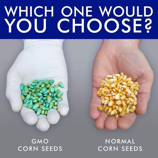 AskTheFarmers's tweet photo. Surely you've seen this floating around? Today on our blog @MarieB41 sets the record straight  http://t.co/ZeNFvFBjXL http://t.co/E1Zcz1OBmc