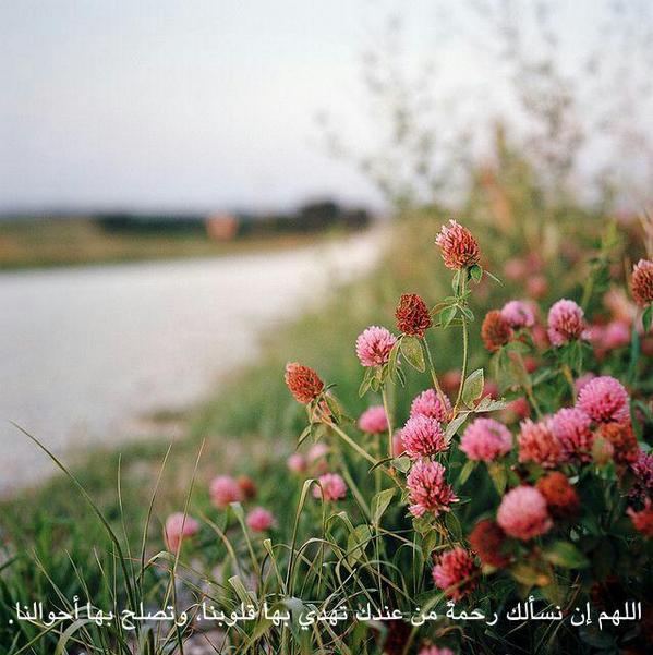 الطريق الى الجنة. tweet media