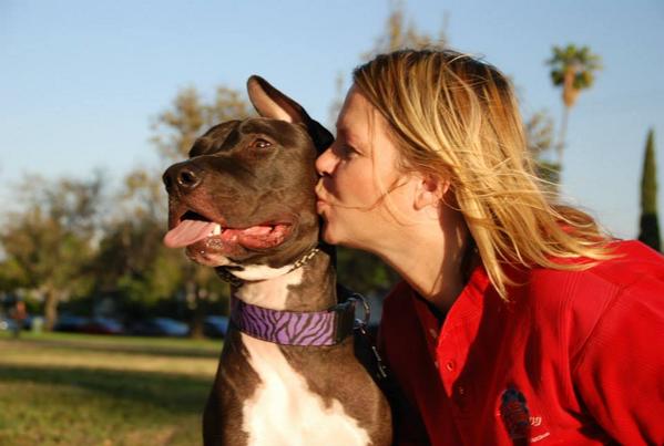 volalupi's tweet image. A city councilwoman in Aurora says she would ban me if she could not just the dogs
 #coloradogs #mollywouldbanmetoo