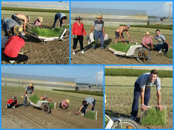 [Imagem: B0unvGlIYAAnKbe.jpg]