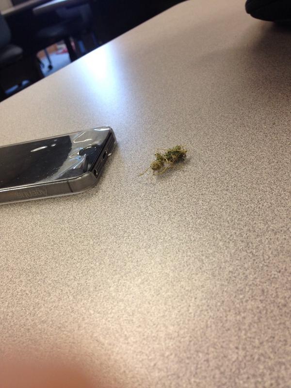 bricordero40's tweet photo. @bricordero40 bout to roll up the loud pack in class #GOOSHGOOSH http://t.co/WtaHQW6FXH